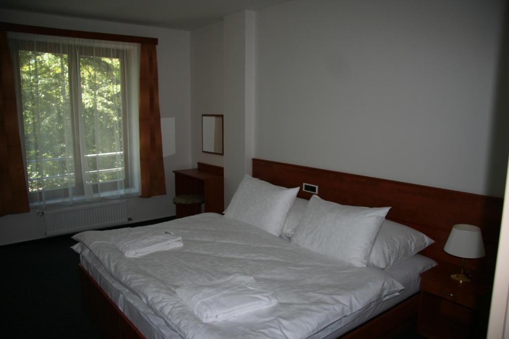 Lazensky Hotel Park Poděbrady Oda fotoğraf